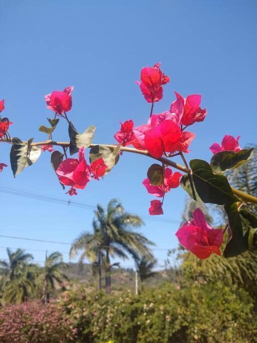 Chalé aconchegante em estância climática Santo Antônio do Leite Exterior foto