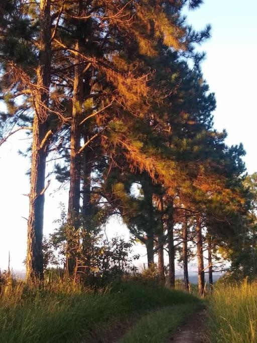 Chalé aconchegante em estância climática Santo Antônio do Leite Exterior foto